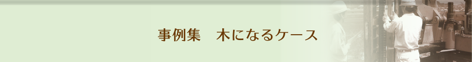 事例集　木になるケース