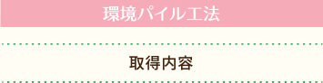 環境パイル工法 取得内容