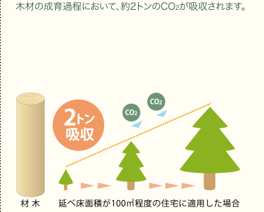 木材の成育過程において、約2トンのCO2が吸収されます。
